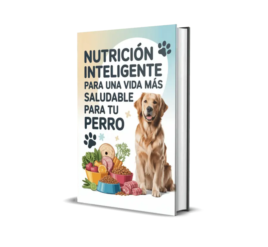 Nutrición Inteligente para una Vida más Saludable para tu Perro